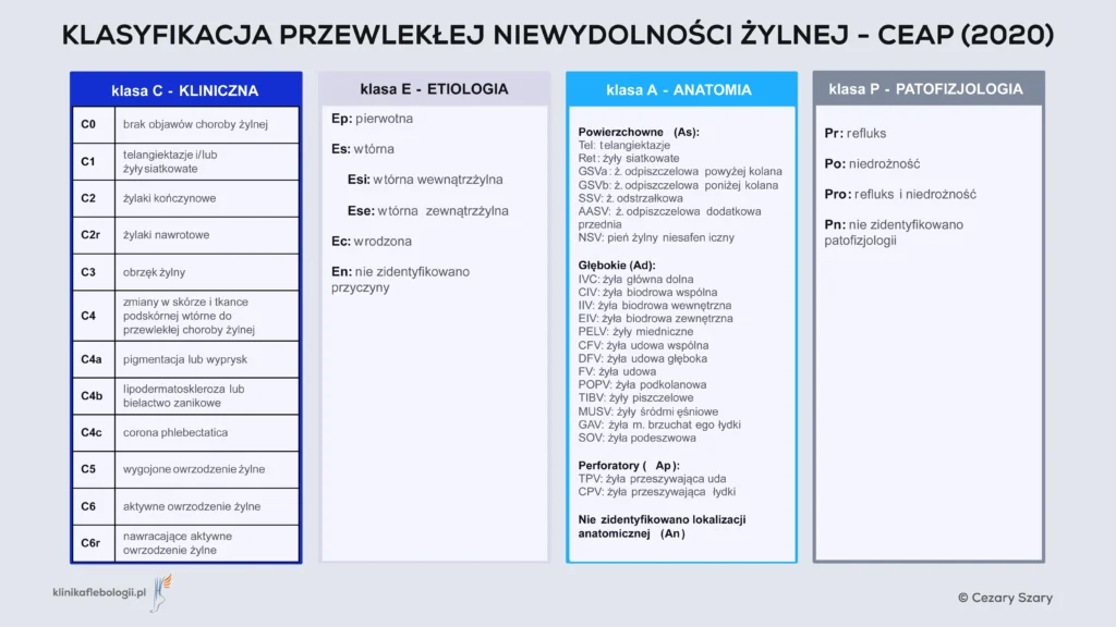 Klasyfikacja CEAP niewydolności żylnej kończyn dolnych - infografika. Auror: Cezary Szary. Klinika Flebologii